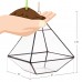 Mindful Design Geometric Diamond Desktop Garden Planter Glass Terrarium   